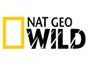 nat_geo_wild_lam