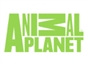 animal_planet_au