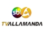 tv_allamanda