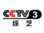cctv03