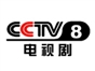 cctv08