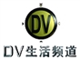 dv_channel