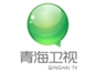 qinghai_tv_comprehensive