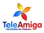 tele_amiga_co