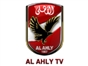 al_ahly_tv_cairo_eg