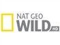 nat_geo_wild_asia_hd