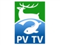 pv_tv