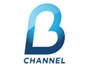 b_channel_id