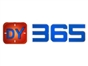 dy_365
