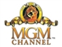 mgm_channel_in