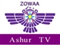 ashur_tv_iq