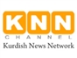 knn_iq