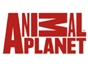 animal_planet_it