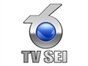 tv_sei