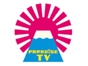 paradise_tv_jp