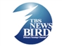tbs_news_bird