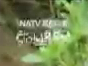 kr 401