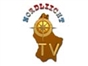 nordliicht_tv