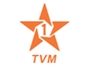 snrt_1_tvm