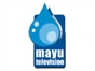 mayu_tv