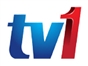 rtm_tv1_my