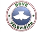 dove_vision
