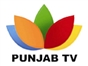 punjab_tv_pk