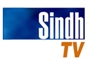 sindh_tv
