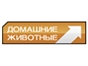 domashnie_zhivotnye