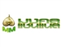 mongkol_channel