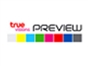 true_visions_preview
