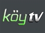 koy_tv
