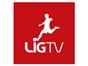 lig_tv