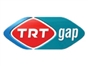trt_gap