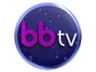 bluebird_tv