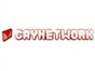gay_network