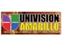 keyu_univision41_amarillo