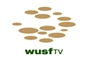 wusf_tampa_bay