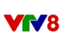 vtv8_vn